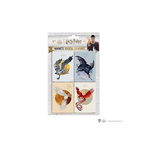 Set of 4 Magnets Magical Creatures - Harry Potter-DO5004