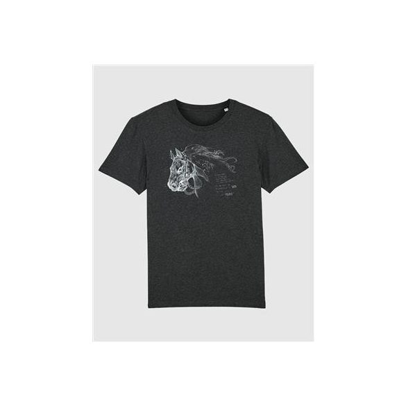 Darksiders T-Shirt "Ruin Sketch"-LAB110017XXL