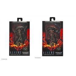 Aliens Fireteam Elite 7" Scale Action Figure Prowler & Runner Assortment (8)-NECAXN51723