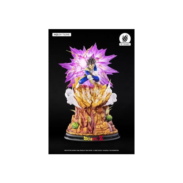 Tsume Arts - Vegeta Galick Gun-573548