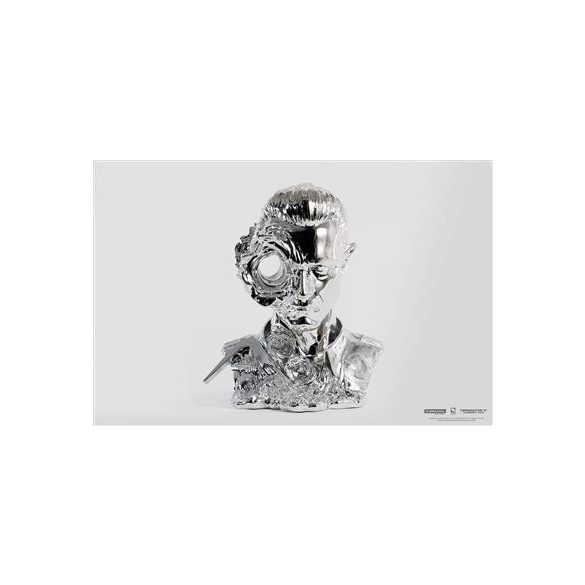 Pure Arts - TERMINATOR T-1000 Art Mask - Liquid Metal - STANDARD-PA007TE2