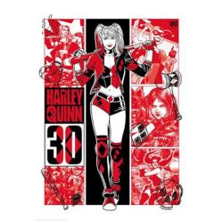 Harley Quinn Limited edition 30th anniversary art print-THG-DC38