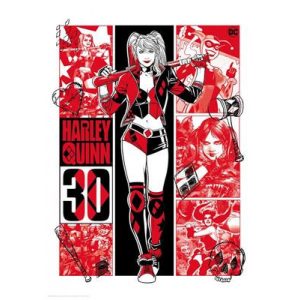 Harley Quinn Limited edition 30th anniversary art print-THG-DC38