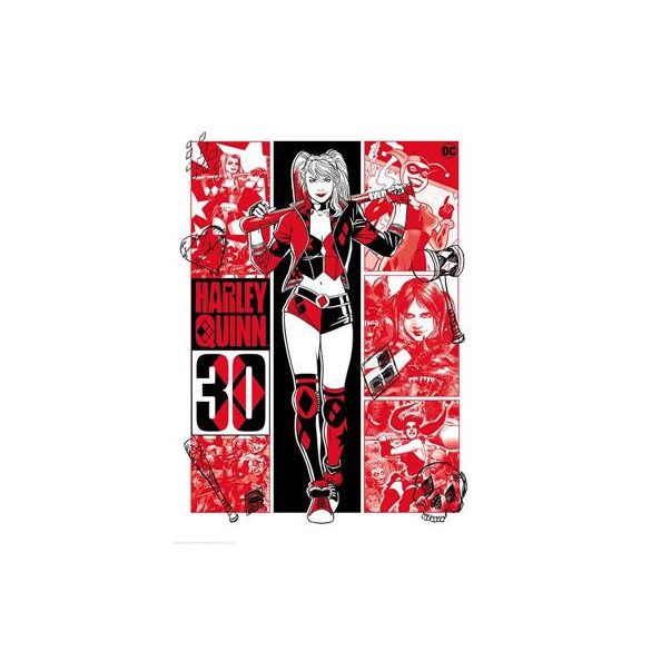 Harley Quinn Limited edition 30th anniversary art print-THG-DC38