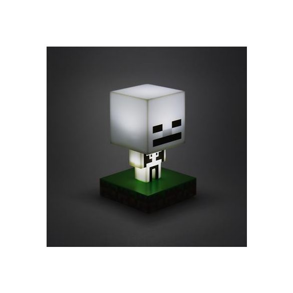 Minecraft Skeleton Icon Light-PP8999MCF