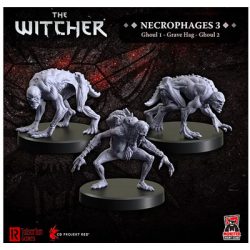 MFC - The Witcher Miniatures - Necrophages 1 - Grave Hag-MFC70017