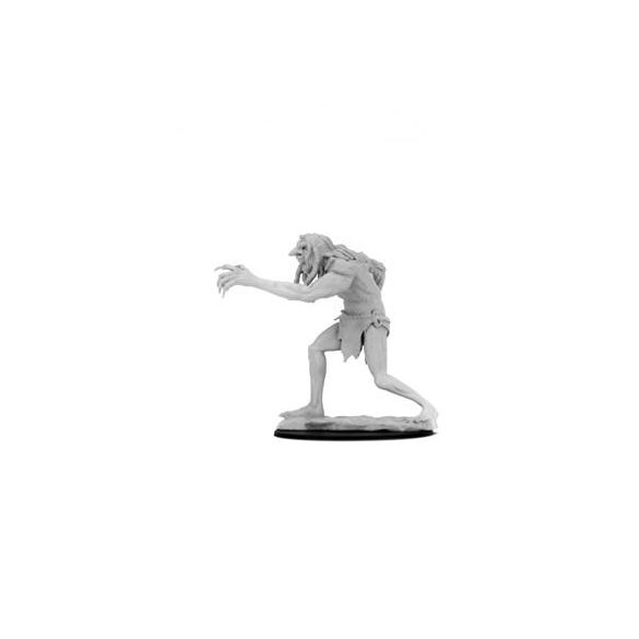 D&D Nolzur's Marvelous Miniatures: Troll - EN-WZK90190