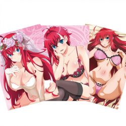 Highschool DxD - Clearfile Set - A4-SAK83113