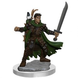 D&D Frameworks: Male Half-Elf Ranger - EN-WZK75077