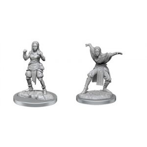 Pathfinder Deep Cuts: Half-Elf Monk Female - EN-WZK90652