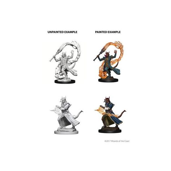 D&D Nolzur's Marvelous Miniatures: Tiefling Male Sorcerer-WZK73201