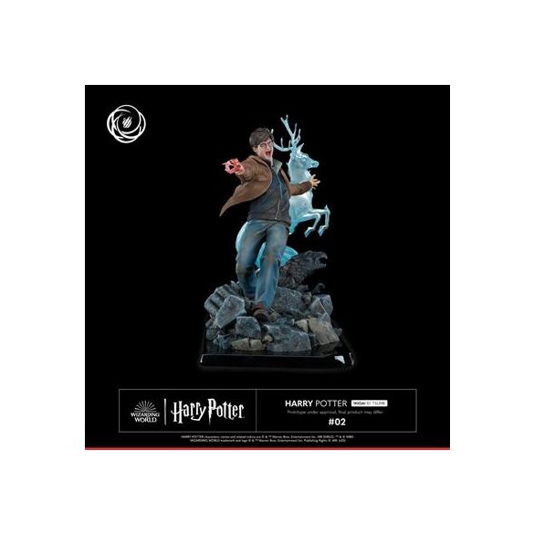 Tsume Arts - Harry Potter - Harry Potter Ikigai-