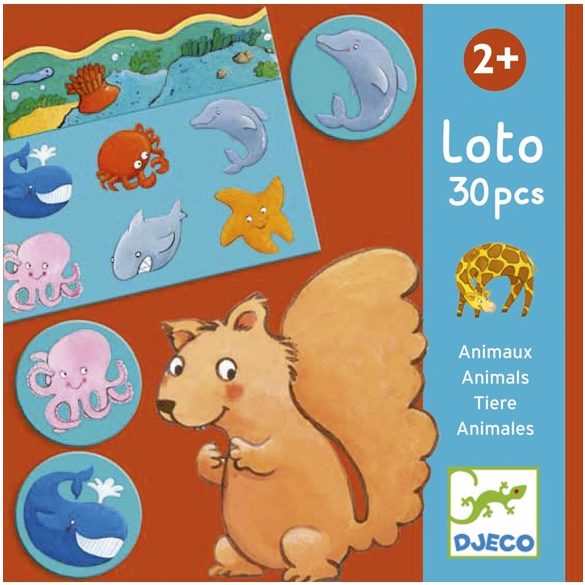 Djeco Állatok élőhelye - Lotto - Animals